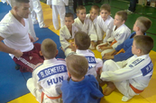 Edzőtábor helyszín szállás a villányi borvidéken, judo, karate, tánctáboroknak