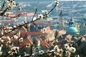 Pécs és környéke kirándulás - 2014 Pécs és környéke kirándulás - 2014